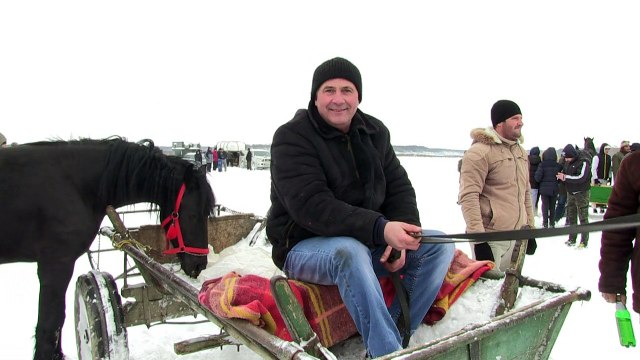 Romanian horses 'baptized' in snowy village race