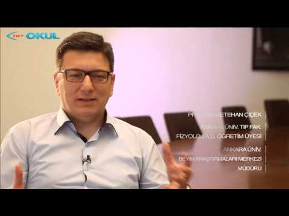 Beynin Sırları - 3. Bölüm - TRT Okul