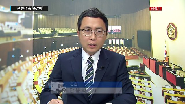 野 2당, 사드 당론 결정...與, 찬성 속 '속앓이' / YTN (Yes! Top News)