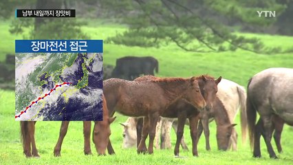 [날씨] 남해안·제주 강풍에 150mm 장맛비...피해 우려 / YTN (Yes! Top News)
