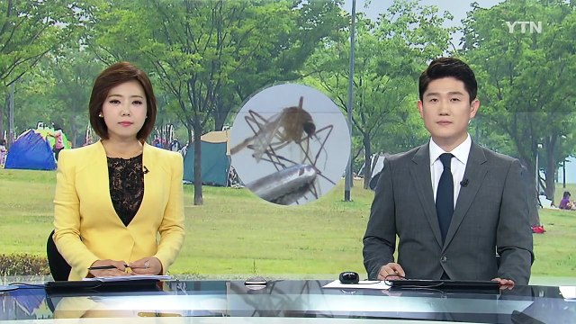전국에 일본 뇌염 경보 발령...작년보다 한 달 빨라 / YTN (Yes! Top News)