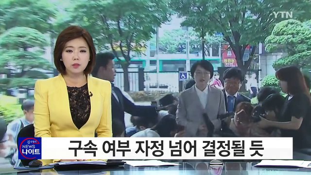 박선숙·김수민 의원 구속 여부 자정 넘어 결정 / YTN (Yes! Top News)