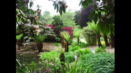 Voyage Société d'Horticulture du Bas-Léon - Les Jardins de Cornouailles anglaises 2016