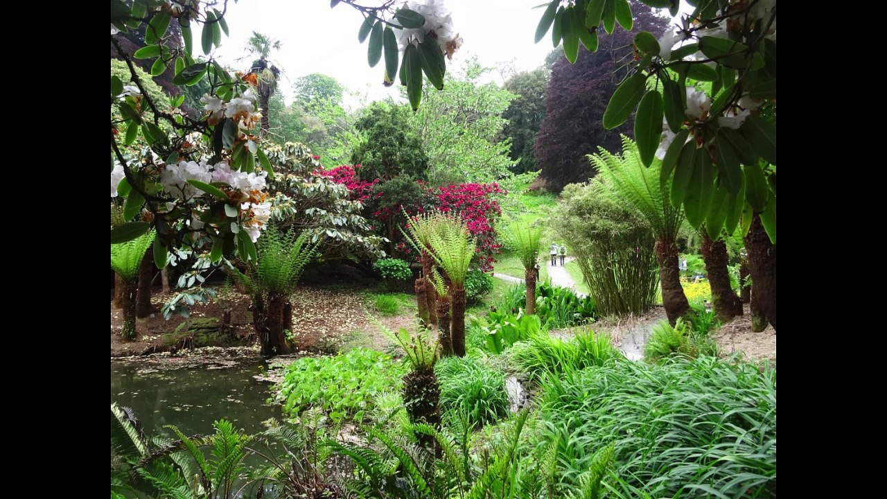 Voyage Société d'Horticulture du Bas-Léon - Les Jardins de Cornouailles anglaises 2016