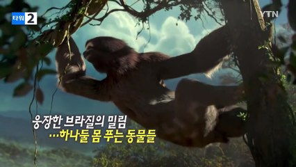 "영화 같아!" 브라질 리우 올림픽 예고 영상 공개 / YTN (Yes! Top News)