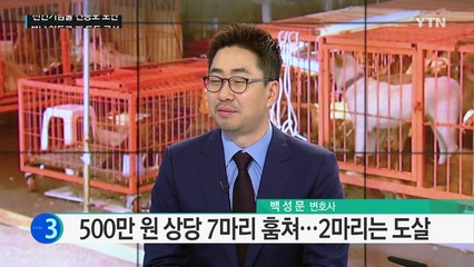 복날 앞두고 전국 '개 도둑 주의보' / YTN (Yes! Top News)