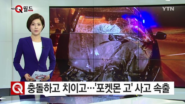 '나무에 충돌하고, 차에 치이고'...美 '포켓몬 고' 게임 하다 사고 속출 / YTN (Yes! Top News)