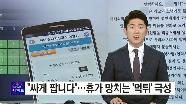 싸게 팝니다 ...휴가철 인터넷 사기 극성 / YTN (Yes! Top News)