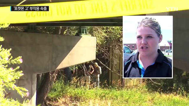 포켓몬 고 '광풍'... 엽기 사고 잇따라 / YTN (Yes! Top News)