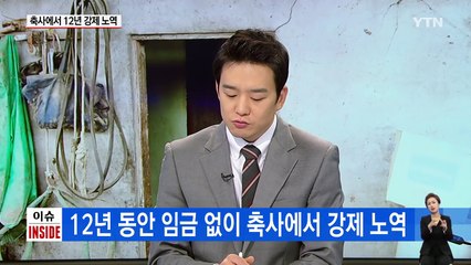 지적장애인 '만득이' 악몽 같은 12년 / YTN (Yes! Top News)