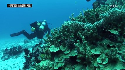 "해외여행 스노클링 사망사고, 여행사 책임 70%" / YTN (Yes! Top News)