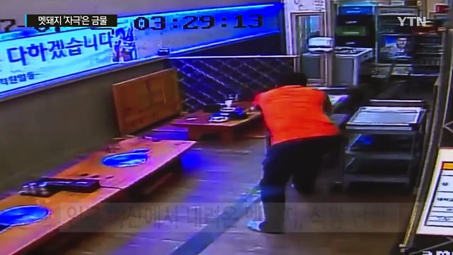 눈앞에 멧돼지... 그들을 자극하지 않는 게 최우선 / YTN (Yes! Top News)