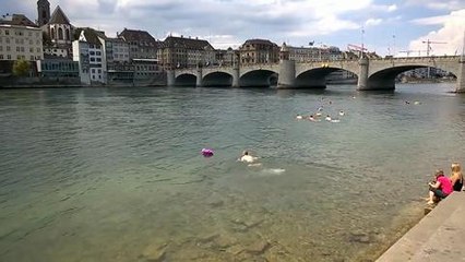 Un plongeon a "Bale-plage" en...