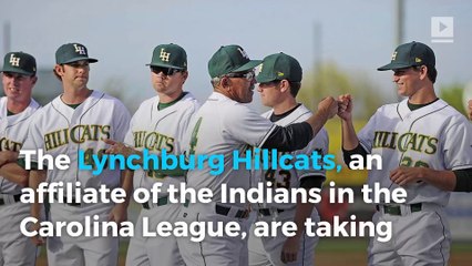 A Carolina minor league baseball team will allow dogs at the park every night