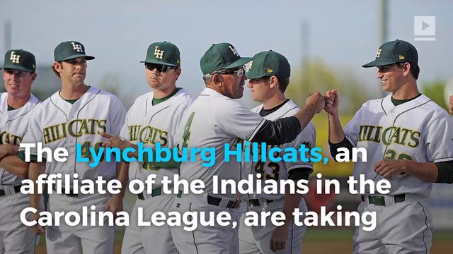 A Carolina minor league baseball team will allow dogs at the park every night