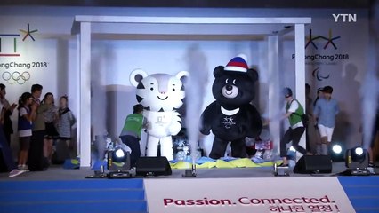 평창동계올림픽 마스코트 '수호랑·반다비' 전국 순회 / YTN (Yes! Top News)