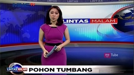 Dua Pohon Tumbang Timpa Pagar Rumah Mewah