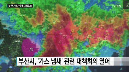 부산지역 해안따라 이동한 가스 냄새 정체는? / YTN (Yes! Top News)