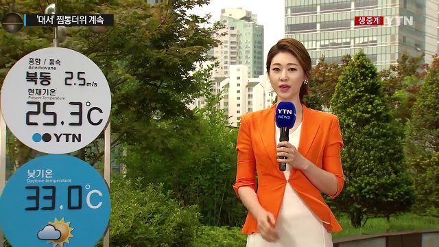 [날씨] 서울 올해 첫 열대야...찜통더위 계속 / YTN (Yes! Top News)