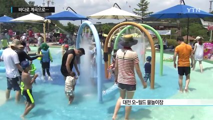 폭염으로 달궈진 국토...바다·계곡·하천 피서객 몰려 / YTN (Yes! Top News)