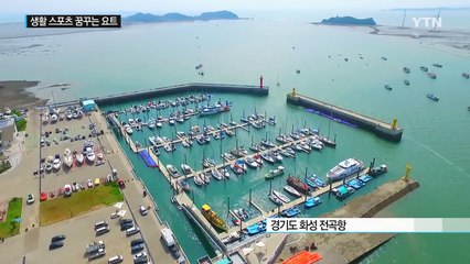 [모이자리그] 생활 속으로 성큼 다가온 요트 / YTN (Yes! Top News)