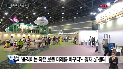 폭염특보 확대...곤충과 함께 피서를 / YTN (Yes! Top News)