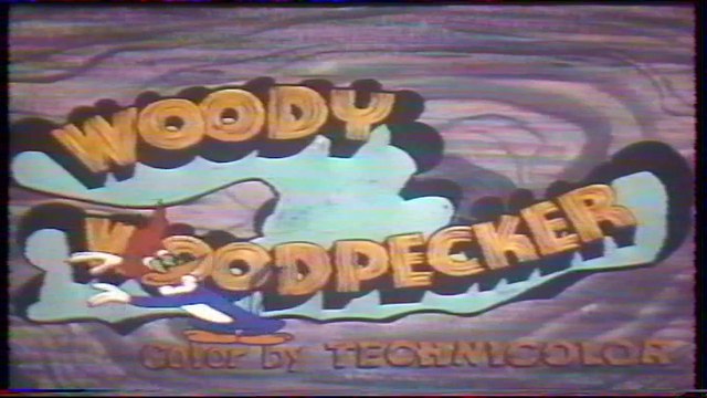 woody woodpecker - woody cook out