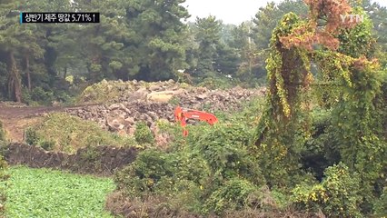 치솟는 제주도 땅값, 상반기에만 5% 넘게 올랐다 / YTN (Yes! Top News)