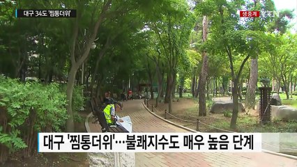 대구·광주·밀양 낮 최고 34℃ 웃돌아 '찜통더위' / YTN (Yes! Top News)