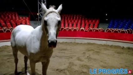 Medrano : le dressage...