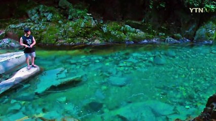 [영상] 강원도 비밀의 계곡 3곳 추천! / YTN (Yes! Top News)