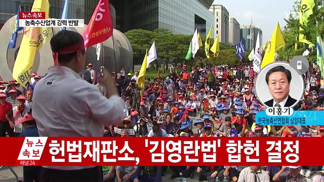 김영란법 헌재 결정...사립교원·농축산 단체 입장은? / YTN (Yes! Top News)