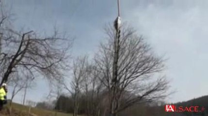 L'élagage par hélicoptère