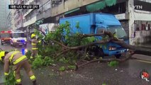 나무 뽑히고 건물 무너지고...태풍 니다 중국 남부 강타 / YTN (Yes! Top News)
