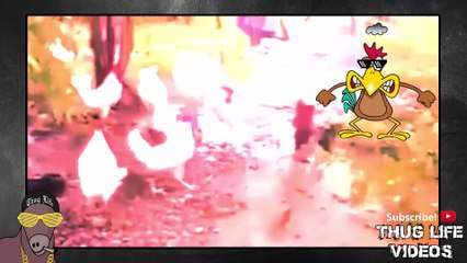 Ultimate Thug Life Compilation #103 Animal Special III