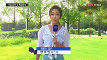 [날씨] 서울 올 최고, 34.2℃...올해 첫 폭염경보 / YTN (Yes! Top News)