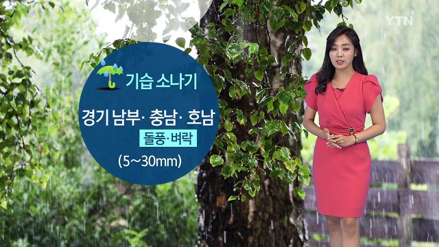 [날씨] 오늘 폭염 계속…경기 남부·충남 기습 소나기 / YTN (Yes! Top News)