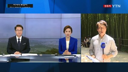 사색의 휴양지 태화강 십리대숲 / YTN (Yes! Top News)