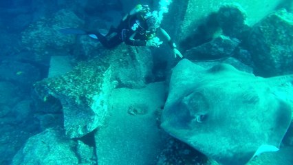 2016/08 - Lanzarote-Puerto del Carmen