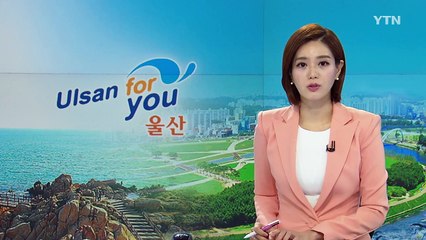 [울산] 울산시, 전기자동차 보급확대 나서 / YTN (Yes! Top News)