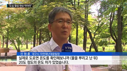 도심 열섬 현상을 막아라...지자체 안간힘 / YTN (Yes! Top News)