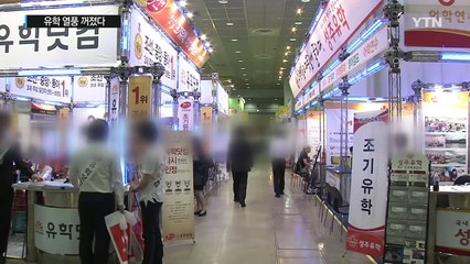 유학 열풍 꺼졌다...유학비 3년 전보다 18% ↓ / YTN (Yes! Top News)