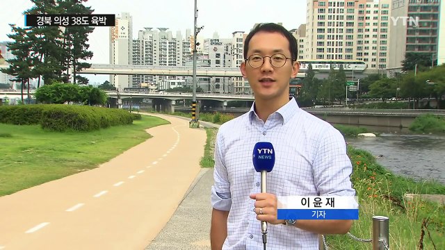 경북 의성 38도 육박...펄펄 끓은 '찜통 입추' / YTN (Yes! Top News)