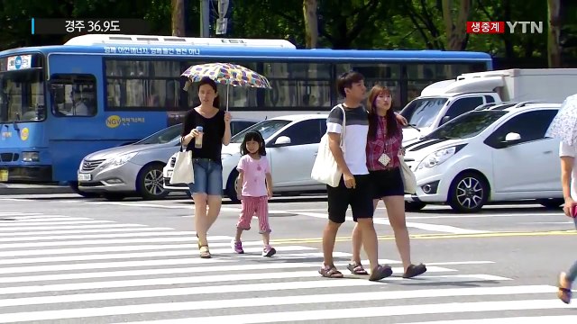 [날씨] 전국 폭염특보...경북 경주 36.9도 / YTN (Yes! Top News)