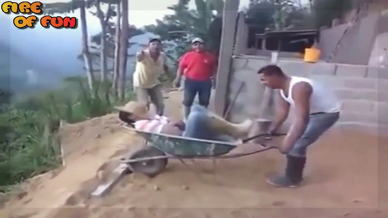WhatsApp videos