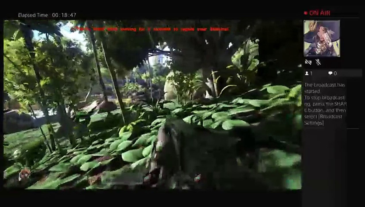 veralynn777's Live PS4 Broadcast (15)