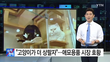 애묘족, 애견족보다 돈 더 쓴다! / YTN (Yes! Top News)