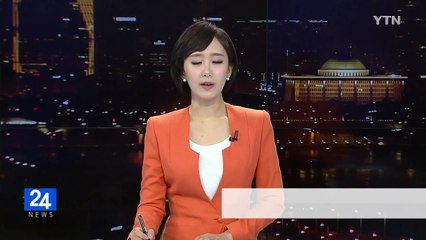 폭염에 가정집 보관하던 달걀 병아리 부화 / YTN (Yes! Top News)