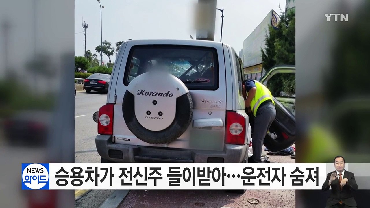 승용차가 전신주 들이받아...운전자 숨져 / YTN (Yes! Top News)