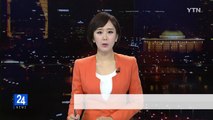 71주년 광복절 맞아 남산에서 '태권도 공연' / YTN (Yes! Top News)